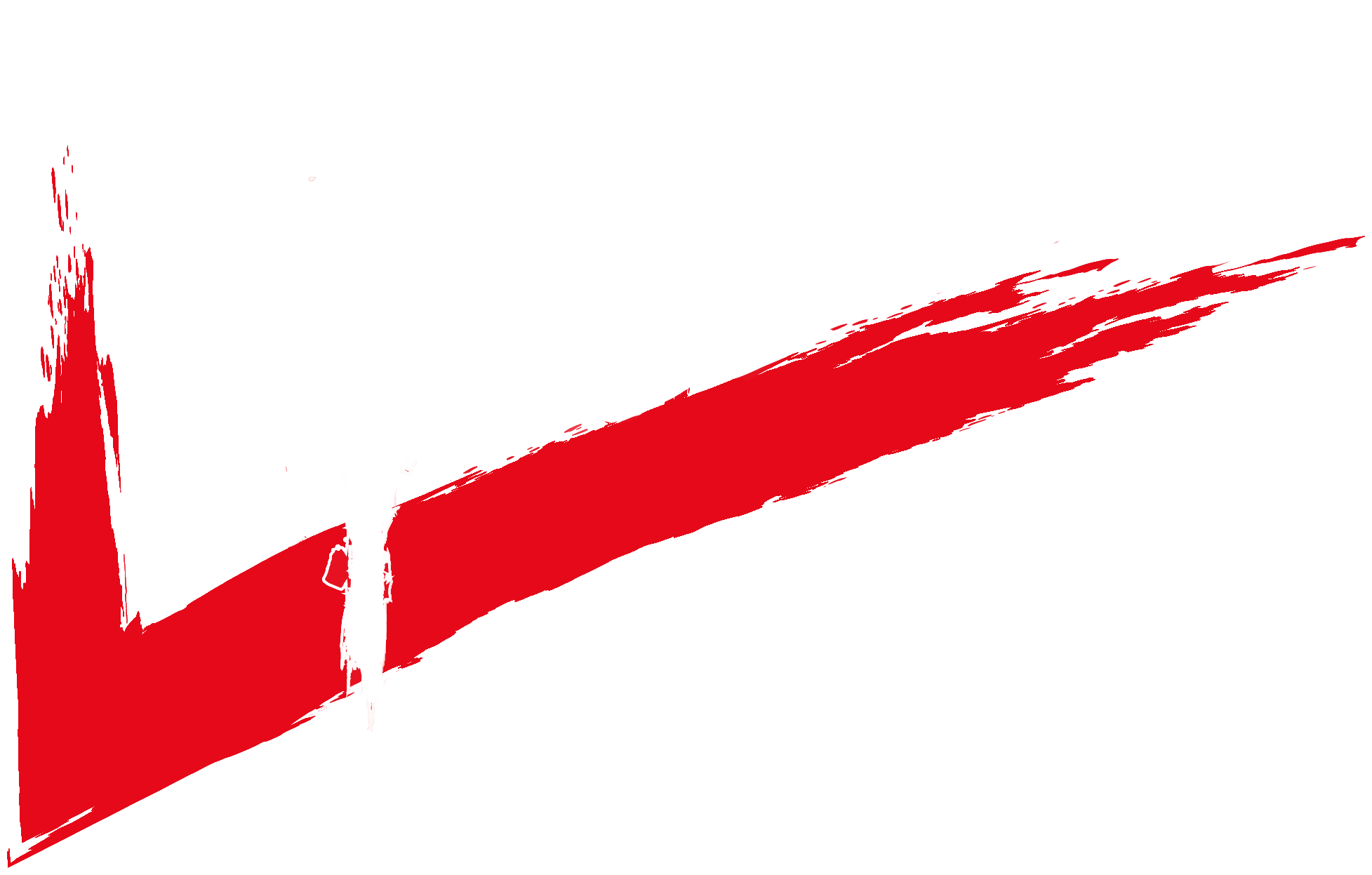 MiCheck Performances